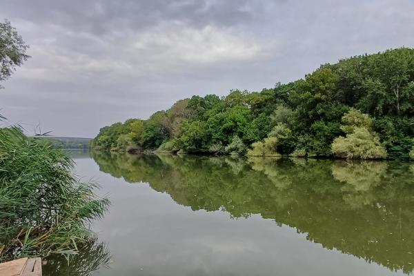 Nistrul – punte de legătură între locuitorii de pe ambele maluri