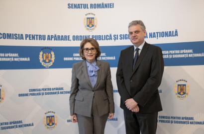 intrevedere